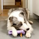 Bully Stick Holder Small, Puppy Teething Chew Container, Dog Bone Holder for Crate Floor Travel, Pet Parents Trainers Home Office Living Room - Image 4