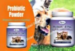 Omega Alpha Probiotic 8 Plus 500g Powder for Dogs & Cats with 8 Strains & Digestive Enzymes, Supports Balanced Gut Flora & Dietary Nutrient Absorption - Image 6