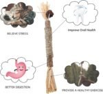 PAKESI Silvervine Catnip Sticks 4-Piece Set of cat Toys, Chew Toys for Kittens Teeth Cleaning, Indoor cat Interactive Toys, Suitable for All Cats Chewing Sticks to Relieve Stress - Image 4