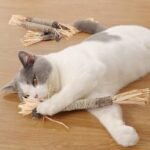 PAKESI Silvervine Catnip Sticks 4-Piece Set of cat Toys, Chew Toys for Kittens Teeth Cleaning, Indoor cat Interactive Toys, Suitable for All Cats Chewing Sticks to Relieve Stress - Image 6