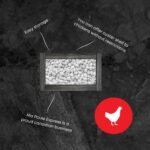 Ma Poule Express – Proudly Canadian – Poultry Oyster Shell (Crushed) – 2.27 kg (5 lb) | Natural Calcium Supplement for Laying Hens | Strong Eggshell Support - Image 4