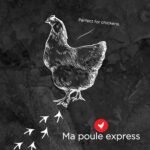 Ma Poule Express – Proudly Canadian – Poultry Oyster Shell (Crushed) – 2.27 kg (5 lb) | Natural Calcium Supplement for Laying Hens | Strong Eggshell Support - Image 6