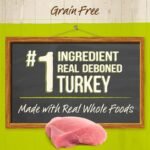 Merrick Purrfect Bistro Grain Free Turkey Pate Wet Cat Food, Case of 24, 5.5 oz - Image 5