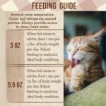 Merrick Purrfect Bistro Grain Free Turkey Pate Wet Cat Food, Case of 24, 5.5 oz - Image 9