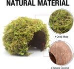 Mossy Cave Hide,Coconut Shell Green Sphagnum, Cage Accessories for Hamsters/Gguinea Pig/Hedgehogs/Gliders/Rats/Mice and Other Small Animals (Small) - Image 3