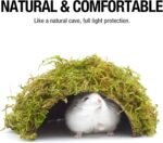 Mossy Cave Hide,Coconut Shell Green Sphagnum, Cage Accessories for Hamsters/Gguinea Pig/Hedgehogs/Gliders/Rats/Mice and Other Small Animals (Small) - Image 5