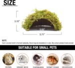 Mossy Cave Hide,Coconut Shell Green Sphagnum, Cage Accessories for Hamsters/Gguinea Pig/Hedgehogs/Gliders/Rats/Mice and Other Small Animals (Small) - Image 6