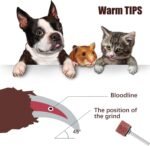 22 Pet Nail Grinder Replacement Kit with Grit Sanding Bands Pet Smoother Claw Care Black Grinding Drums Dog Nail Grinder Replacement Dog Claw Grooming Supplies(1/2 Inch 120 Grit) - Image 4