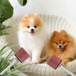 22 Pet Nail Grinder Replacement Kit with Grit Sanding Bands Pet Smoother Claw Care Black Grinding Drums Dog Nail Grinder Replacement Dog Claw Grooming Supplies(1/2 Inch 120 Grit) - Image 7