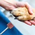 22 Pet Nail Grinder Replacement Kit with Grit Sanding Bands Pet Smoother Claw Care Black Grinding Drums Dog Nail Grinder Replacement Dog Claw Grooming Supplies(1/2 Inch 120 Grit) - Image 8