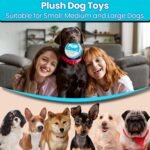 PUP Pouch Funny Parody Dog Toy | Plush Squeaky & Durable | Interactive Chew Toy for Small, Medium & Large Dogs | Upgraded Tough Fabric | Puppy Gift | Stuffed Novelty Crinkle Toy | Cool Pet Present - Image 7