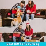 PUP Pouch Funny Parody Dog Toy | Plush Squeaky & Durable | Interactive Chew Toy for Small, Medium & Large Dogs | Upgraded Tough Fabric | Puppy Gift | Stuffed Novelty Crinkle Toy | Cool Pet Present - Image 8