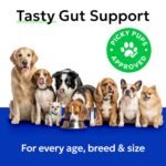 Pumpkin Powder for Dogs - Powdered High Fiber Supplement and Stool Softener - Treat Diarrhea, Constipation, Upset Stomach, Food Sensitivity - Improve Digestion - 230g (8oz) - Image 7