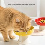 Ceramic Elevated Cat Bowls,Anti-Black Chin Tall Cat Bowl,Anti-Vomit Cat Bowl,Tilted Ceramic Water Bowl,Mushroom Tall,Large Diameter cat Food Bowl for Kitten, Cat, Puppies (Red) - Image 5