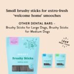 Bocce’s Bakery Dailies Brushy Sticks to Support Oral Health & Fresh Breath, Wheat-Free Dental Bars for Dogs, Made with Real Ingredients, Baked in the USA, All-Natural Coconut & Mint Recipe, Small Dogs - Image 6