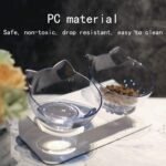 2Pcs Slanted Cat Bowl Cat Bowls with Stand Pet Feeder Double Food Diner Bowl Set Perfect for Cats and Ultra Small Dog Cat Food Dishes Raised Pet Food Scoop (Transparent) - Image 6