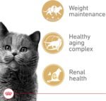 Royal Canin Appetite Control Spayed/Neutered 12+ Dry Adult Cat Food, 7 lb Bag - Image 4