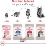 Royal Canin Appetite Control Spayed/Neutered 12+ Dry Adult Cat Food, 7 lb Bag - Image 6