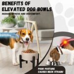 Raised Ceramic Dog Bowl - Elevated Food Water Dish with Stainless Steel Stand - for Small to Medium Dogs - 6 Inch - 2 Cups (28.75 fl oz) - Black - Image 6