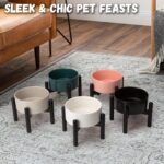 Raised Ceramic Dog Bowl - Elevated Food Water Dish with Stainless Steel Stand - for Small to Medium Dogs - 6 Inch - 2 Cups (28.75 fl oz) - Black - Image 8