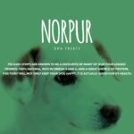 Norpur Pig Ears Strips for Dogs, 5 lb. Box, Natural Oven-Baked Chews with No Hormones or Preservatives, Cleaner Teeth and Shinier Coat, Reduce Bad Breath - Image 4