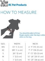 RC Pets 1 Inch Adjustable Dog Clip Collar, Medium, Pitter Patter Chocolate - Image 3
