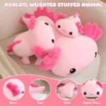 SQEQE Weighted Axolotl Stuffed Animals, Weighted Pink Axolotl Plush, Cute Plushies Toy Gift for Kids Adults (9.8 Inch, 0.8 Lbs) - Image 8