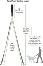 PetSafe Two Point Control Leash, Padded and Reflective Nylon Leash Converts to Single Leash, Works with 3in1 Harnesses, 3/4 in. Wide Leash - Image 5