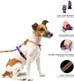 Roses&Poetry Dog Harness and Leash Set for Mediumn Dogs, No Pull Dog Harness Adjustable Reflective, Dog Vest Harnesses Comfort Padded Handle, Pet Harness for Training Outdoor Walking（Mistyrose-M - Image 3