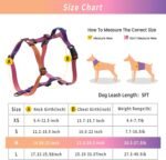 Roses&Poetry Dog Harness and Leash Set for Mediumn Dogs, No Pull Dog Harness Adjustable Reflective, Dog Vest Harnesses Comfort Padded Handle, Pet Harness for Training Outdoor Walking（Mistyrose-M - Image 4