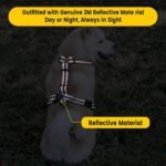 Roses&Poetry Dog Harness and Leash Set for Mediumn Dogs, No Pull Dog Harness Adjustable Reflective, Dog Vest Harnesses Comfort Padded Handle, Pet Harness for Training Outdoor Walking（Mistyrose-M - Image 6