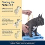 Roses&Poetry Dog Harness and Leash Set for Mediumn Dogs, No Pull Dog Harness Adjustable Reflective, Dog Vest Harnesses Comfort Padded Handle, Pet Harness for Training Outdoor Walking（Mistyrose-M - Image 7