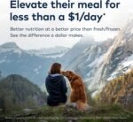 ZIWI Peak Air-Dried Dog Food – Lamb - All Natural, High Protein, Grain Free, Limited Ingredient w/ Superfoods (454 g) - Image 3