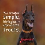 Yappetizers 100% Goat Heart Dehydrated Dog Treat | Hand Made in Canada Since 2003 - Equal to 1 Pound of raw Goat Hearts (Medium | 85 Grams | 3oz). (Bulk Container (2 Pounds | 32oz)) (Medium) - Image 6