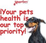 Yappetizers 100% Goat Heart Dehydrated Dog Treat | Hand Made in Canada Since 2003 - Equal to 1 Pound of raw Goat Hearts (Medium | 85 Grams | 3oz). (Bulk Container (2 Pounds | 32oz)) (Medium) - Image 7