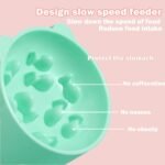 2 Pcs Slow Feeder Cat Bowls, Raised Cat Bowl with Anti-Slip Base, Durable Pet Food Dishes for Cats & Small Dogs, Prevents Fast Eating, Healthy Eating Diet Pet Bowl for Dry and Wet Food - Image 4