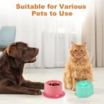 2 Pcs Slow Feeder Cat Bowls, Raised Cat Bowl with Anti-Slip Base, Durable Pet Food Dishes for Cats & Small Dogs, Prevents Fast Eating, Healthy Eating Diet Pet Bowl for Dry and Wet Food - Image 8