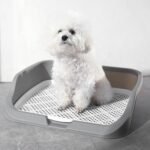 GLOGLOW Dog Pee Pad Holder Tray with Grate, Dog Litter Box Toilet, No Leak, Less Mess, Indoor Outdoor for Small to Medium Dogs (Gray) - Image 3
