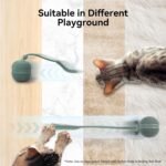 by Cheerble 2 in 1 Interactive Cat Toys for Indoor Cats, Wicked Ball Duo2, Automatic Rolling Ball & Spinning Top, 6 Play Ways with Bird Chirping and Speedy Tail, LED Rechargeable Cat Toy - Image 9