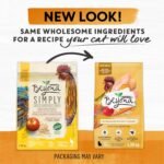 Beyond Simply Natural Dry Cat Food, Farm-Raised Chicken & Whole Oat Meal - 5.89 kg Bag - Image 11