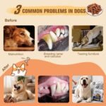 Dental Chew Bone Sticks for Dogs - Beef Flavor Teeth Cleaning Treats Chew Toy for Small Medium Dogs (Beef Dental Chew Sticks 1pcs) - Image 9