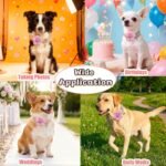 Floral Dog Collar with Bell and Flower, Cute Dog Collar for Puppy Small Medium Large Dogs, Pink Girl Dog Collar for Female/Male Dog Birthday Wedding Photo Props - Image 6