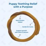 N-Bone Puppy Teething Ring Pumpkin Flavor, 3.6 oz, 3 Pack - Image 3