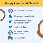 N-Bone Puppy Teething Ring Pumpkin Flavor, 3.6 oz, 3 Pack - Image 4