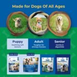 N-Bone Puppy Teething Ring Pumpkin Flavor, 3.6 oz, 3 Pack - Image 9