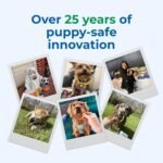 N-Bone Puppy Teething Ring Pumpkin Flavor, 3.6 oz, 3 Pack - Image 10