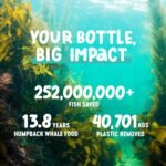 Ocean Saving Omega 3, DHA Supplements, Algae Omega 3, Fish Oil Replacement, 2-Month Supply, Sustainably Sourced, Highest Levels of DHA per Capsule (440 mg), w/DPA - Image 8