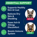 StrellaLab Omega 3 for Dogs - (360Ct) Fish Oil Treats - Skin&Coat Supplement - Dry Skin, Shedding, Pet Salmon Oil Chews - Salmon Flavor - Image 3