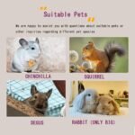 Chinchilla House – Natural Wooden Hideout, Safe & Durable, Unpainted, with Pegs for Teeth Grinding - Image 6