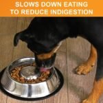 NEATER PET BRANDS Slow Feed Bowl Stainless Steel Metal (Non Tip Style) - Stops Dog Food Gulping, Bloat and Rapid Eating (Large, Non-Tip Base) - Image 5